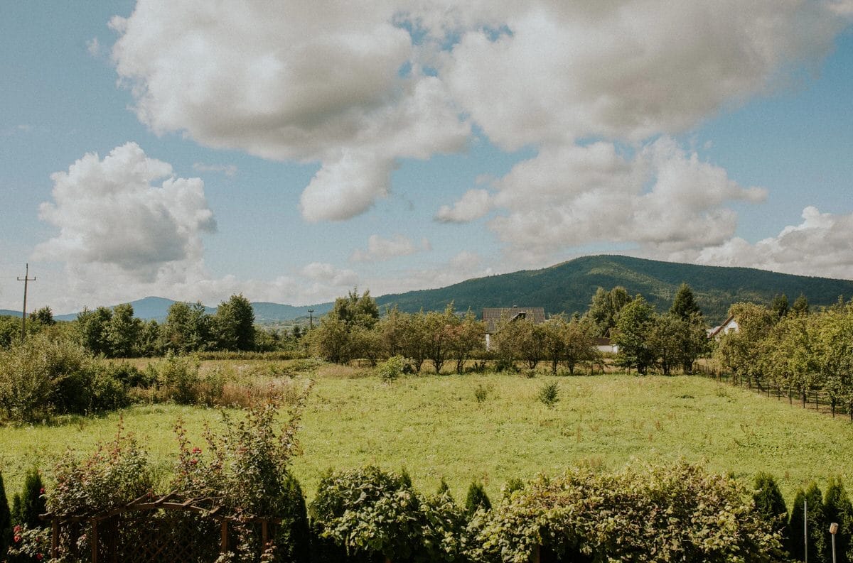Zielona łąka, drzewa, błękitne niebo, góry w tle.