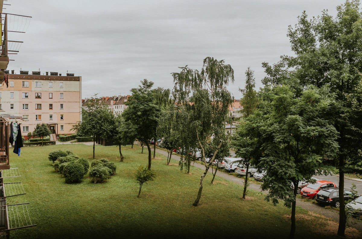 Zielony trawnik z drzewami przy bloku mieszkalnym.