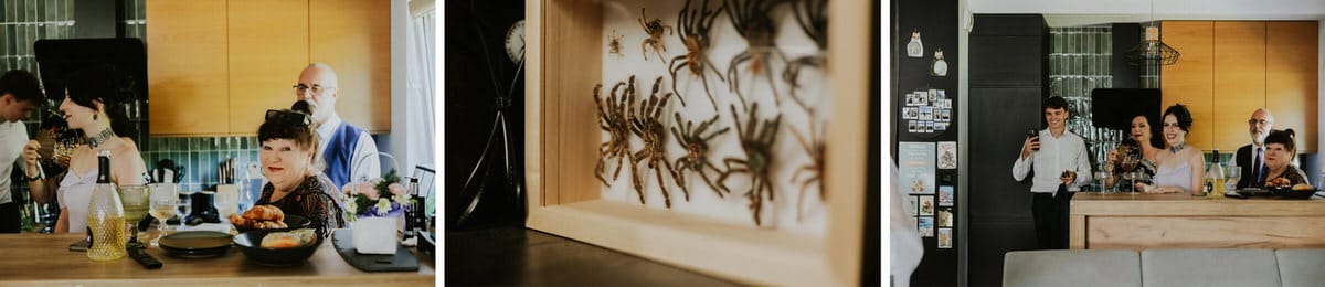 Spotkanie towarzyskie w kuchni, tarantule w gablocie.