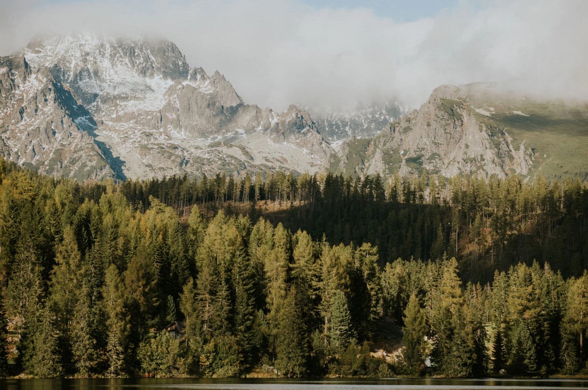 Tatry, góry, las, jezioro, natura, Polska